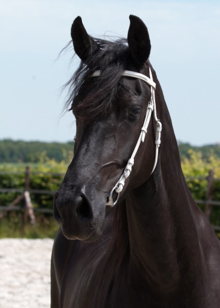 Photo de profil de jumyke