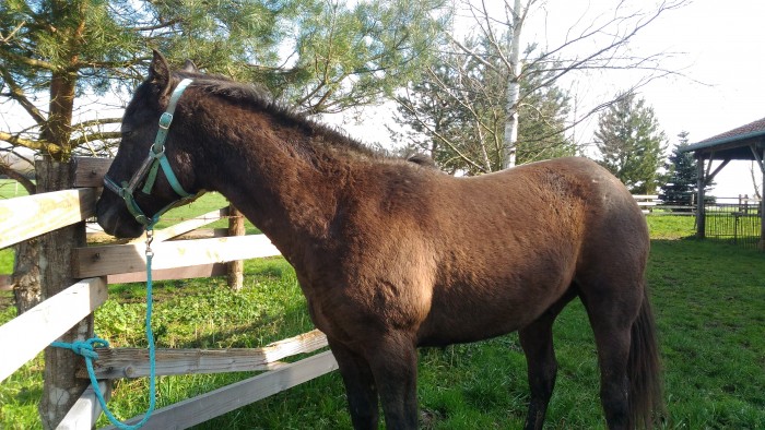 Photo de profil de junki