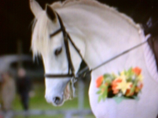 Photo de profil de jurassienneaa1