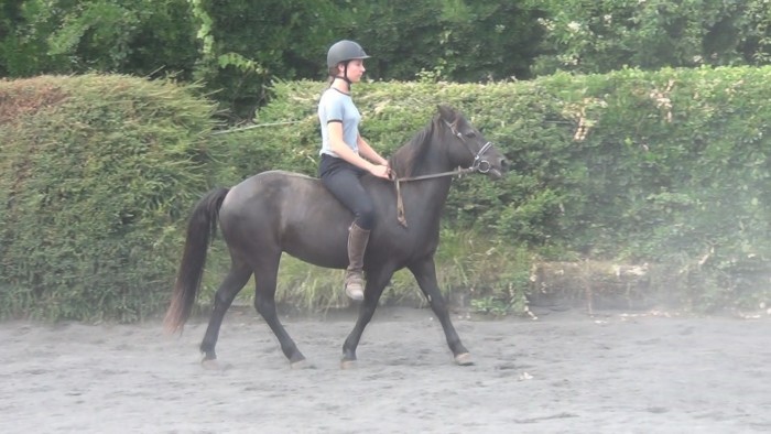 Photo de profil de kalitelmaseven