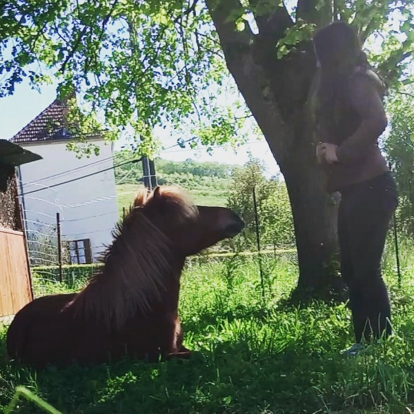 Photo de profil de kalyandlotus47