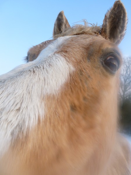 Photo de profil de kapu27
