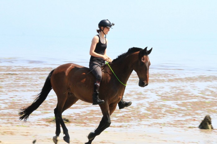 Photo de profil de karof