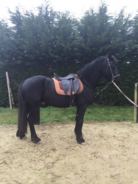 Photo de profil de kat77