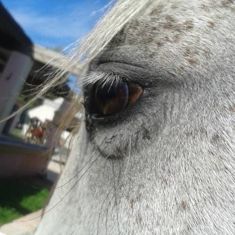 Photo de profil de katt_touco