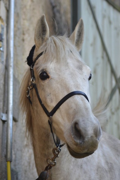 Photo de profil de kayan