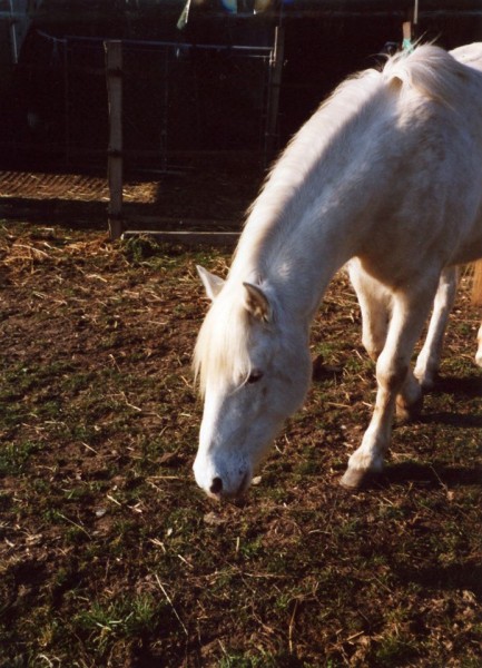 Photo de profil de kayanne