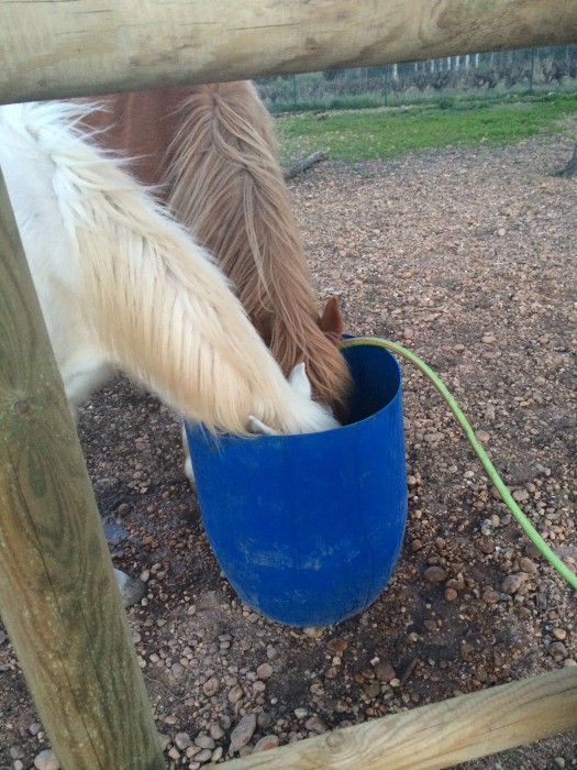 Photo de profil de kellymds