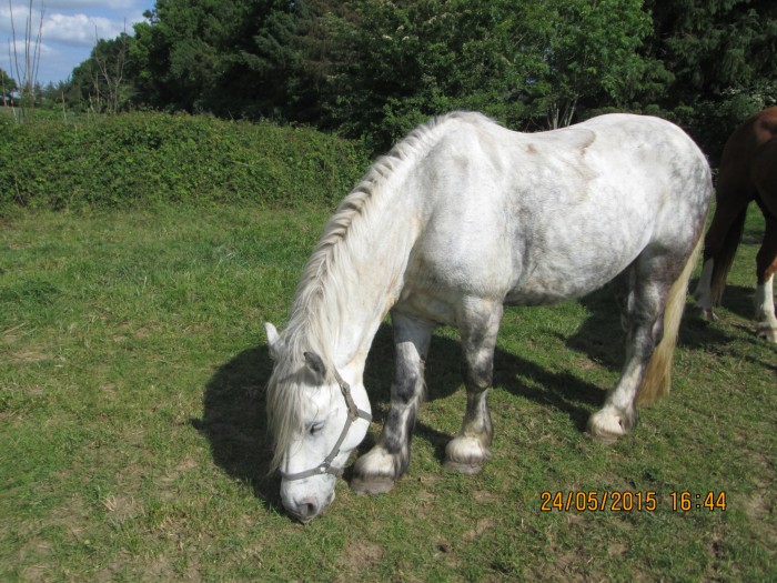 Photo de profil de kenzom