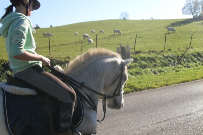 Photo de profil de kimberleyreyns