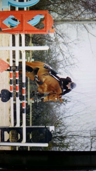 Photo de profil de kzehnder.equit