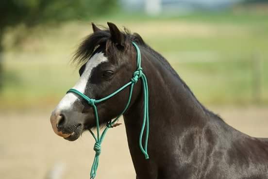 Photo de profil de laeti01