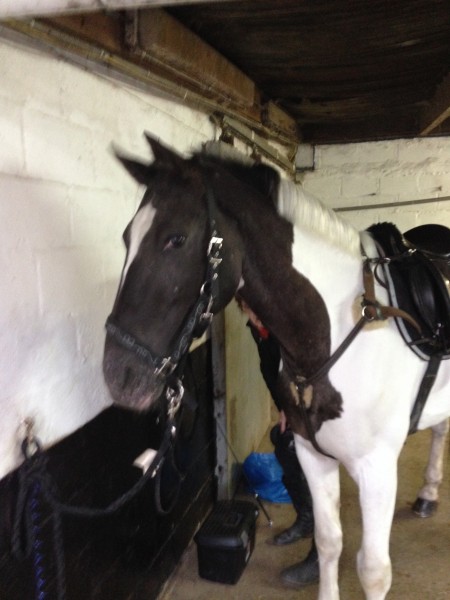 Photo de profil de laeti1504