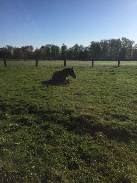 Photo de profil de laetitia.o