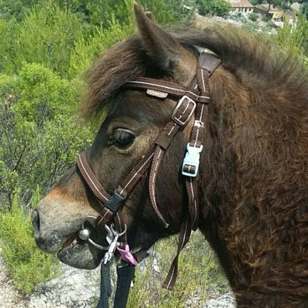 Photo de profil de lainychoca