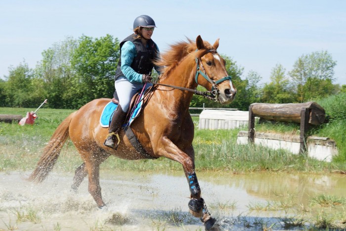 Photo de profil de lajujumal