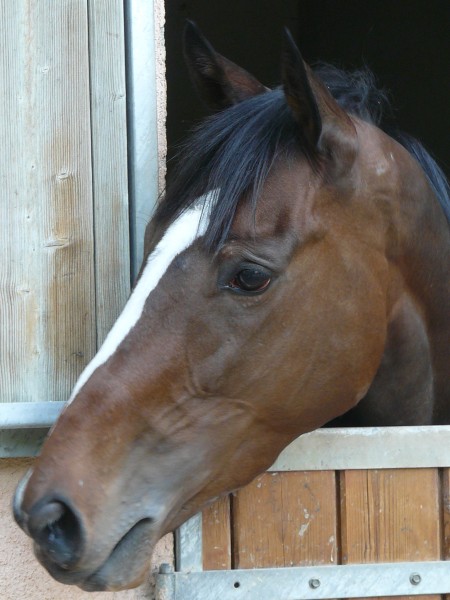 Photo de profil de laka