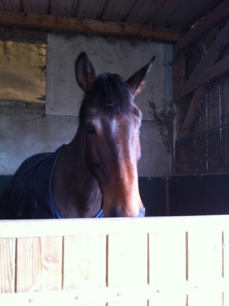 Photo de profil de lala02