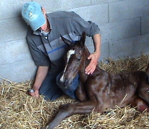 Photo de profil de lalande