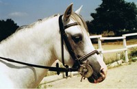 Photo de profil de lapetiteloana