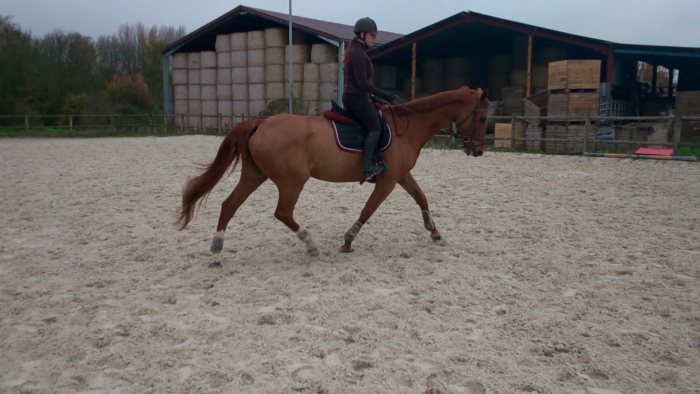 Photo de profil de lapm