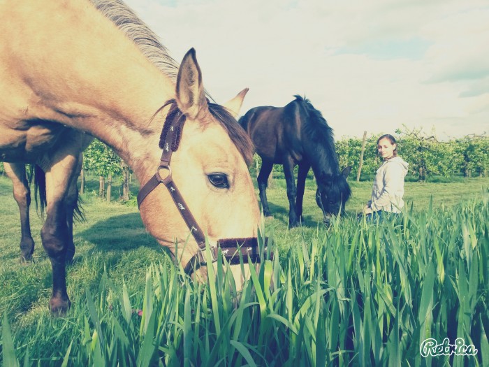 Photo de profil de laps.8