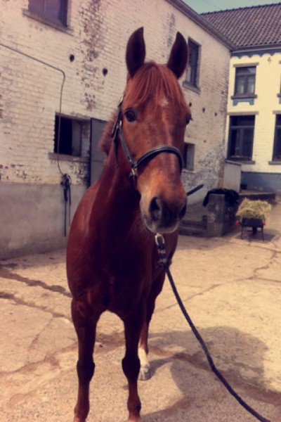 Photo de profil de largo192