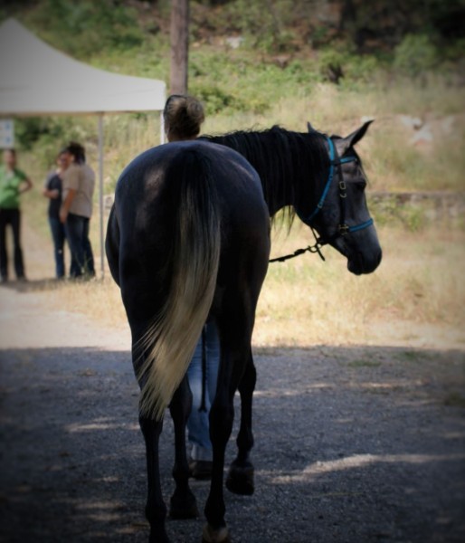 Photo de profil de laube