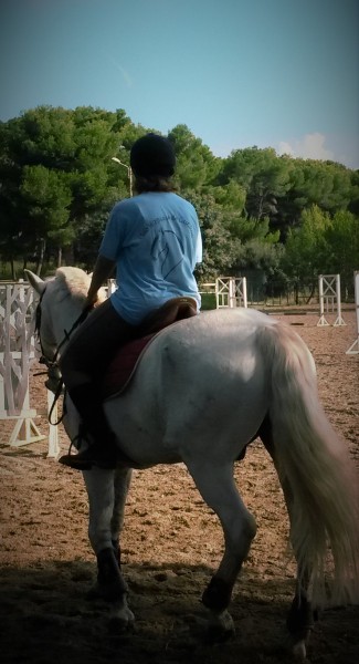 Photo de profil de lauhalva