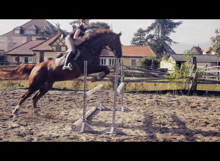 Photo de profil de laulau68