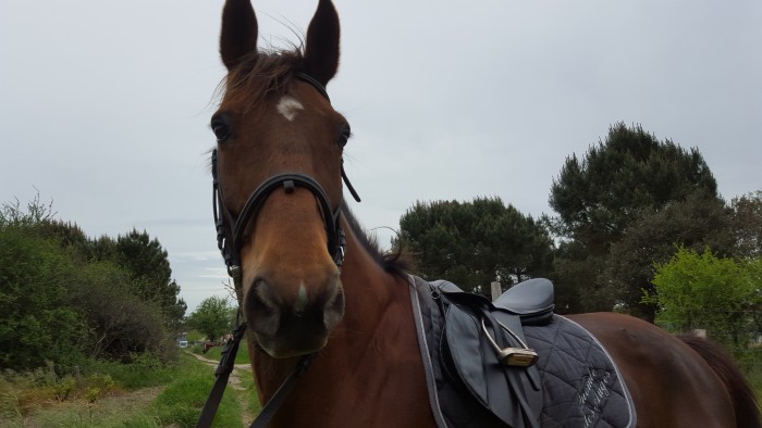Photo de profil de laura_17