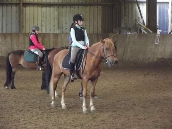 Photo de profil de laura.benaddi