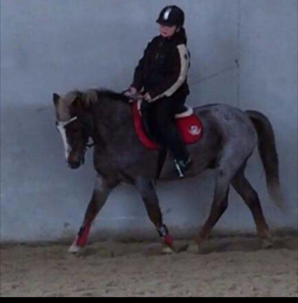 Photo de profil de laura_di