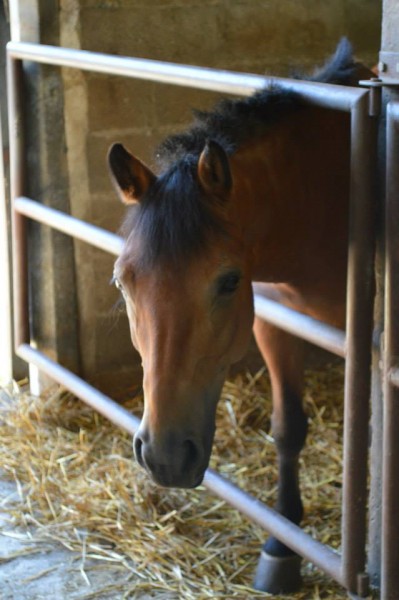 Photo de profil de lauralamotte