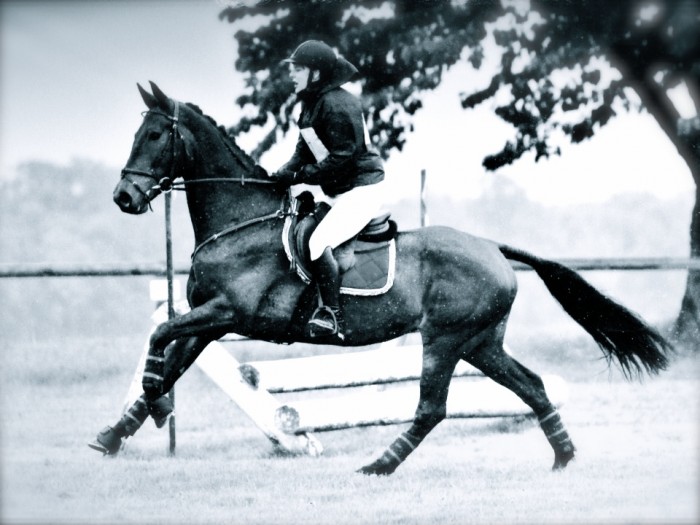 Photo de profil de laurastehlin