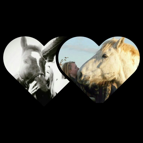 Photo de profil de lauredada