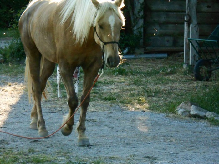 Photo de profil de laureteepee