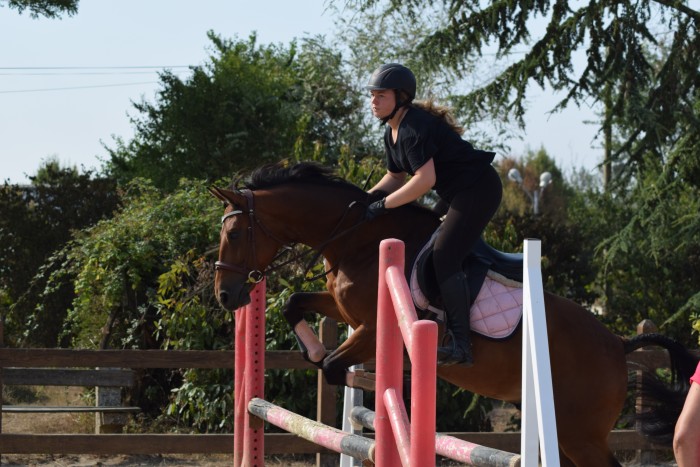 Photo de profil de laurine.era