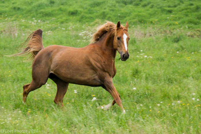 Photo de profil de laur.n