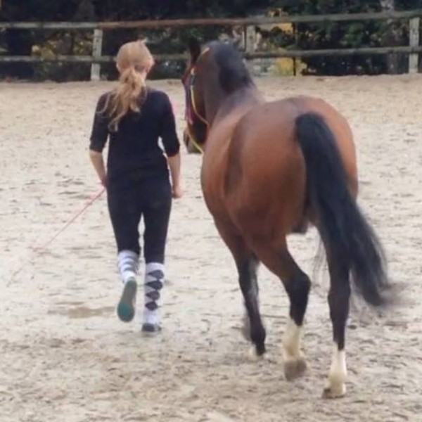 Photo de profil de lauryn77100