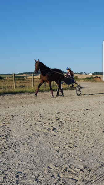 Photo de profil de lea_dgl