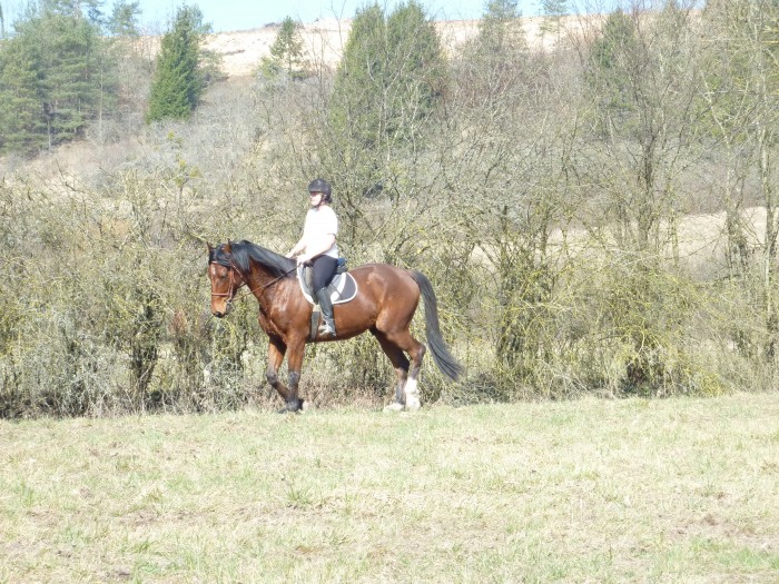 Photo de profil de leadu10