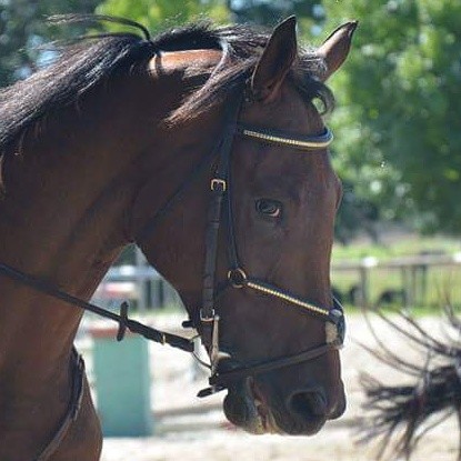 Photo de profil de lea__glz