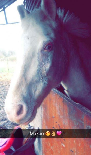 Photo de profil de leamakao62