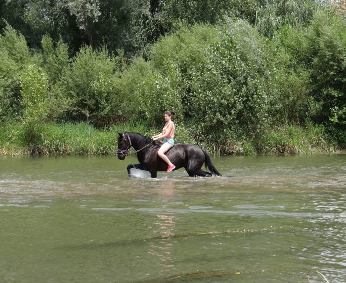 Photo de profil de leamtx