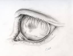 Photo de profil de leanacheval