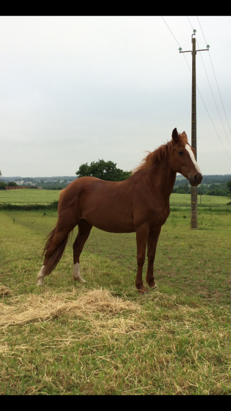 Photo de profil de lechampdesoisea