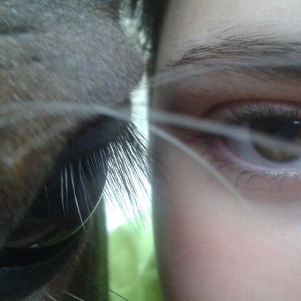 Photo de profil de lechevalparfait