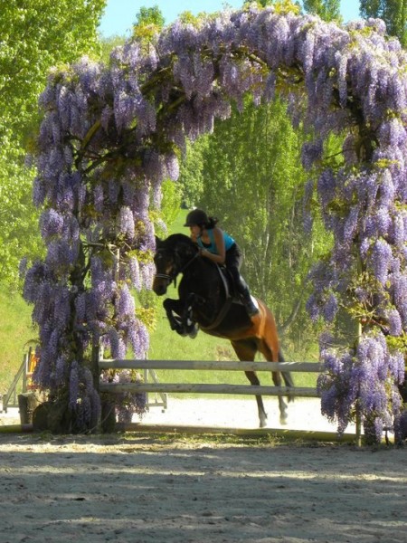 Photo de profil de lecloslanglade