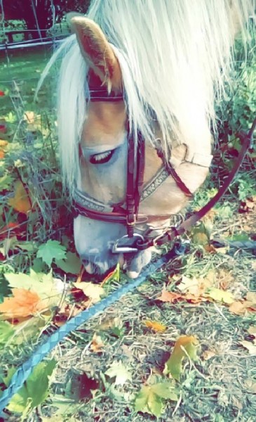 Photo de profil de leique0213